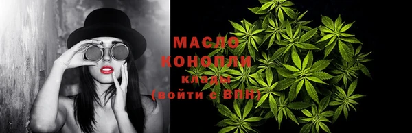 винт Каменка