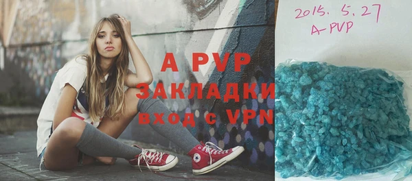винт Каменка