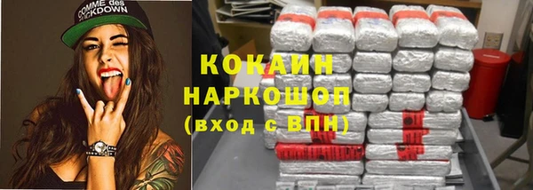 винт Каменка